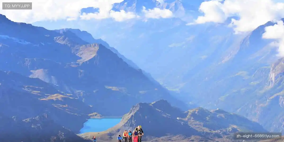 🏀 高清直播，实时尖叫，与全球球迷同频共振！